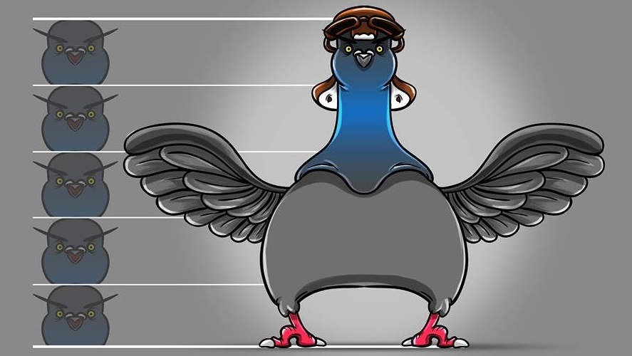 Pigeon concept art